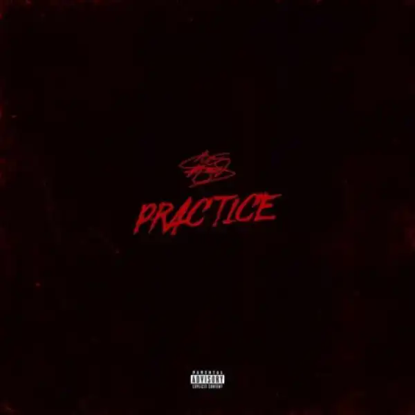 Body Bag 5 BY Ace Hood